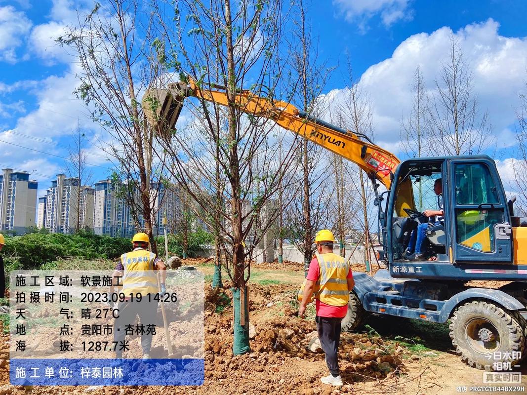 園林綠化的匠心構(gòu)筑 從苗木培育到假山造景的施工現(xiàn)場實錄