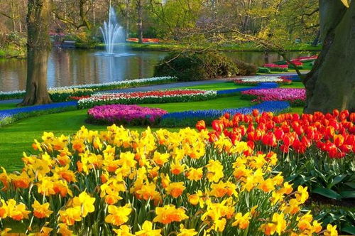 疊石成景，巧筑自然——園林假山設計施工的六個核心秘訣